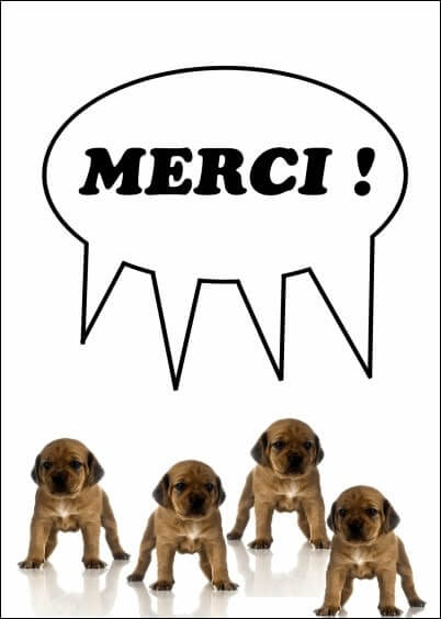 Cartes postales Remerciements : Petits chiots - Merci