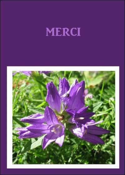 Cartes postales Remerciements de condoléances : Fleurs sur fond violet