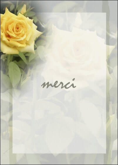 Cartes postales Remerciements de condoléances : Rose jaune - Merci