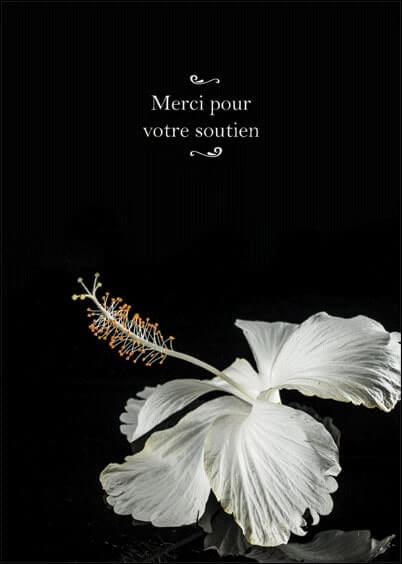 Cartes postales Remerciements de condoléances : Fleur blanche - Merci pour votre soutien