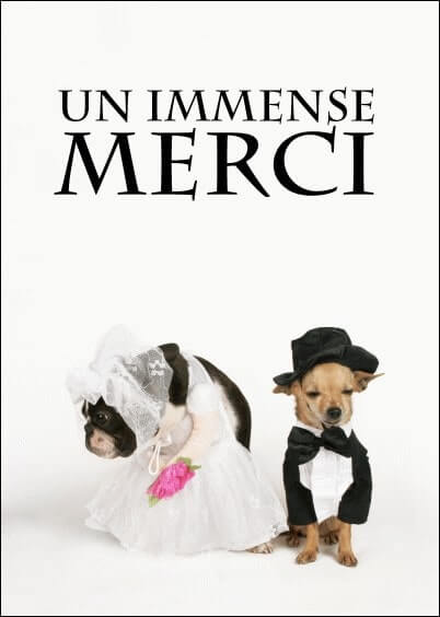 Cartes postales Remerciements de mariage : Petits chiens - Merci