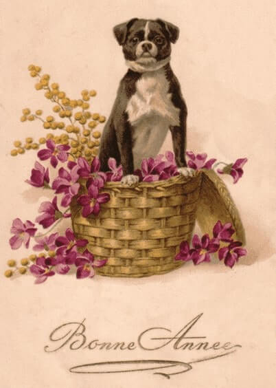 Cartes postales de Voeux de fin d'année : Carte ancienne - Bonne année avec un chien