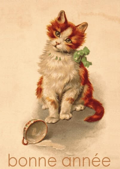 Cartes postales de Voeux de fin d'année : Carte ancienne - Bonne année avec un chaton