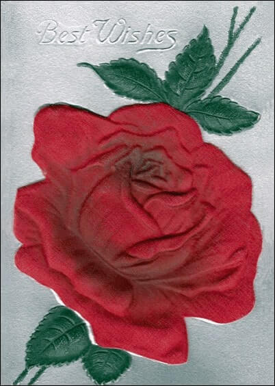 Cartes postales de Voeux de fin d'année : Rose - Best wishes
