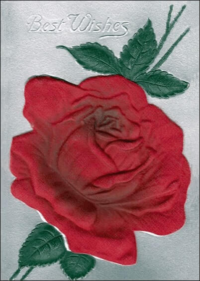 Cartes postales de Voeux de fin d'année : Rose - Best wishes Cartes postales de Voeux de fin d'année : Rose - Best wishes