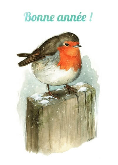 Cartes postales de Voeux de fin d'année : Bonne année - Oiseau Rouge-gorge