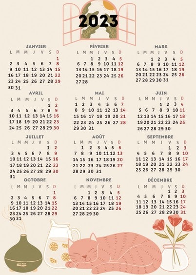 Cartes postales de Voeux de fin d'année : Doux chat sur un calendrier 2023