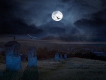 Fond d'écran Animaux d'Halloween - Cimetière et chauves-souris