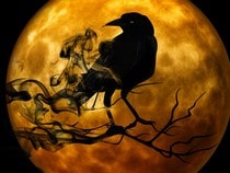 Fond d'écran Animaux d'Halloween - Corbeau sous la lune