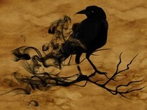 Fond d'écran Animaux d'Halloween - Un corbeau
