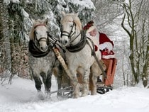 Fond d'écran Animaux de Noël - Chevaux du Père Noël