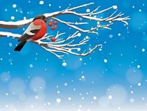 Fond d'écran Animaux de Noël - Oiseau sur une branche