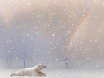 Fond d'écran Animaux de Noël - Ours polaire et Arc-en-ciel de Noël