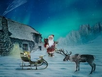 Fond d'écran Animaux de Noël - Renne et son traineau