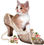Téléchargez des Images gif animées - Animaux : les Chats - Dans un soulier