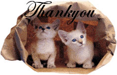 Téléchargez des Images gif animées - Animaux : les Chats - Merci