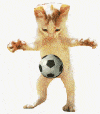 Téléchargez des Images gif animées - Animaux : les Chats - Football