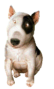 Téléchargez des Images gif animées - Animaux : les Chiens - Bull terrier