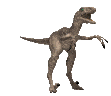 Téléchargez des Images gif animées - Animaux : les Dinosaures - Vélociraptor