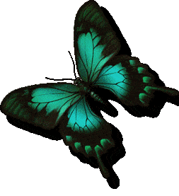 Téléchargez des Images gif animées - Animaux : les Insectes - Papillon