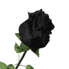 Téléchargez des Images gif animées - Nature : les Fleurs - Rose noire