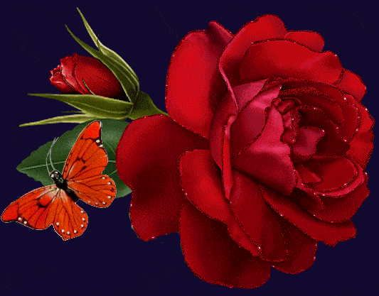 Téléchargez des Images gif animées - Nature : les Fleurs - Rose rouge
