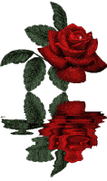 Téléchargez des Images gif animées - Nature : les Fleurs - Roses rouges