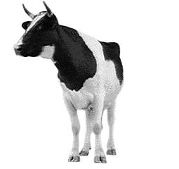 Téléchargez des Images gif animées - Animaux de la ferme : Vache