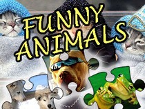 Jeu gratuit en ligne sur les animaux - Funny Animals Puzzle - Puzzle avec de drôles d'Animaux