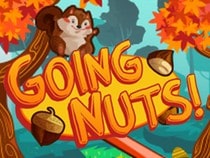 Jeu gratuit en ligne sur les animaux - Going Nuts - A la recherche des Noisettes