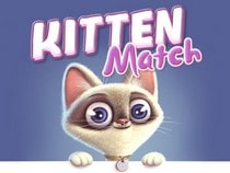 Jeu gratuit en ligne sur les animaux - Kitten Match - Memory des Chatons