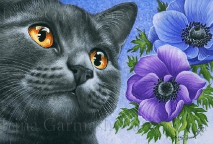 Jeu Puzzle Casse-tête en ligne Animaux Chats Fleurs Anémones