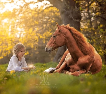 Jeu Puzzle Casse-tête en ligne Animaux ferme Chevaux Fillette Prairie