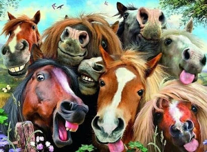 Jeu Puzzle Casse-tête en ligne Animaux ferme Chevaux Selfie