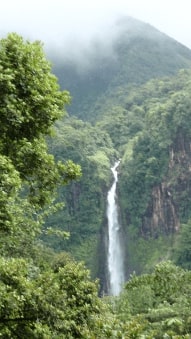 Jeu Puzzle Casse-tête en ligne Paysages Chutes d'eau Foret