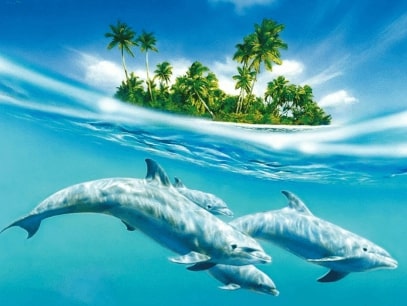 Jeu Puzzle Casse-tête en ligne Animaux marins Dauphins Ile Paradis