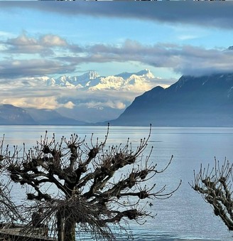 Jeu Puzzle Casse-tête en ligne Paysages Lacs Léman Suisse
