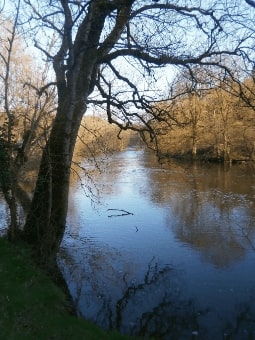 Jeu Puzzle Casse-tête en ligne Paysages Rivière Sèvre France