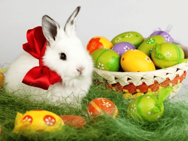 Puzzle sur les animaux du mois d'avril - Le lapin de Pâques