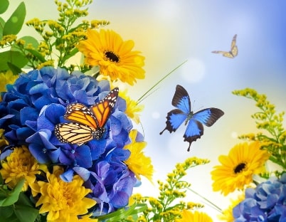 Puzzle sur les animaux du mois de juin - Fleurs et papillons