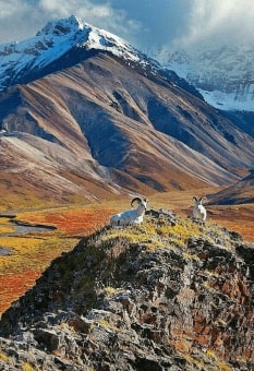 Jeu Puzzle Casse-tête en ligne Paysages Montagnes Denali Alaska