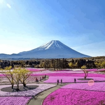 Jeu Puzzle Casse-tête en ligne Paysages Montagnes Fuji Japon