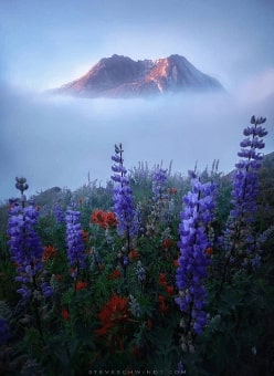 Jeu Puzzle Casse-tête en ligne Paysages Montagnes Saint Helens USA