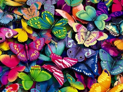 Jeu Puzzle Casse-tête en ligne Animaux Insectes Papillons Couleurs