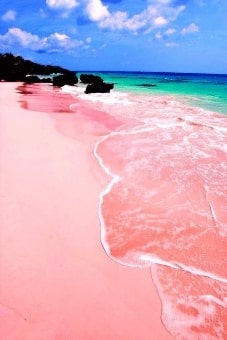 Jeu Puzzle Casse-tête en ligne Paysages Plages Pink Sands Beach Harbour Island Bahamas