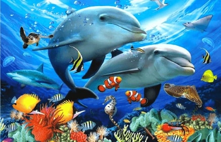 Jeu Puzzle Casse-tête en ligne Animaux Mer Poissons Dauphins