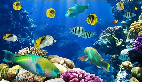 Jeu Puzzle Casse-tête en ligne Animaux Mer Poissons tropicaux Récif