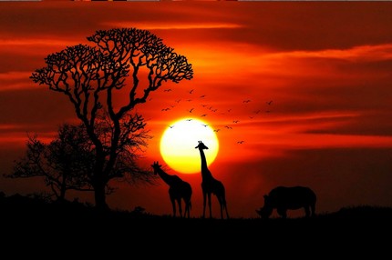 Jeu Puzzle Casse-tête en ligne Paysages Soleil Girafes Rhinocéros