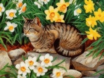 Jeu Puzzle Casse-tête en ligne Animaux Chats Fleurs Tableau