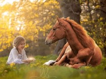 Jeu Puzzle Casse-tête en ligne Animaux ferme Chevaux Fillette Prairie